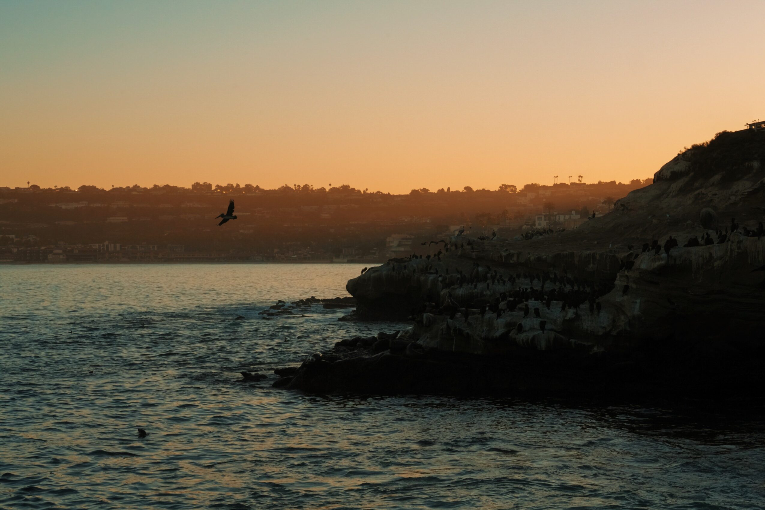 Sunset over water with a bird flying and a rocky shoreline on the right, sky transitioning from blue to orange.