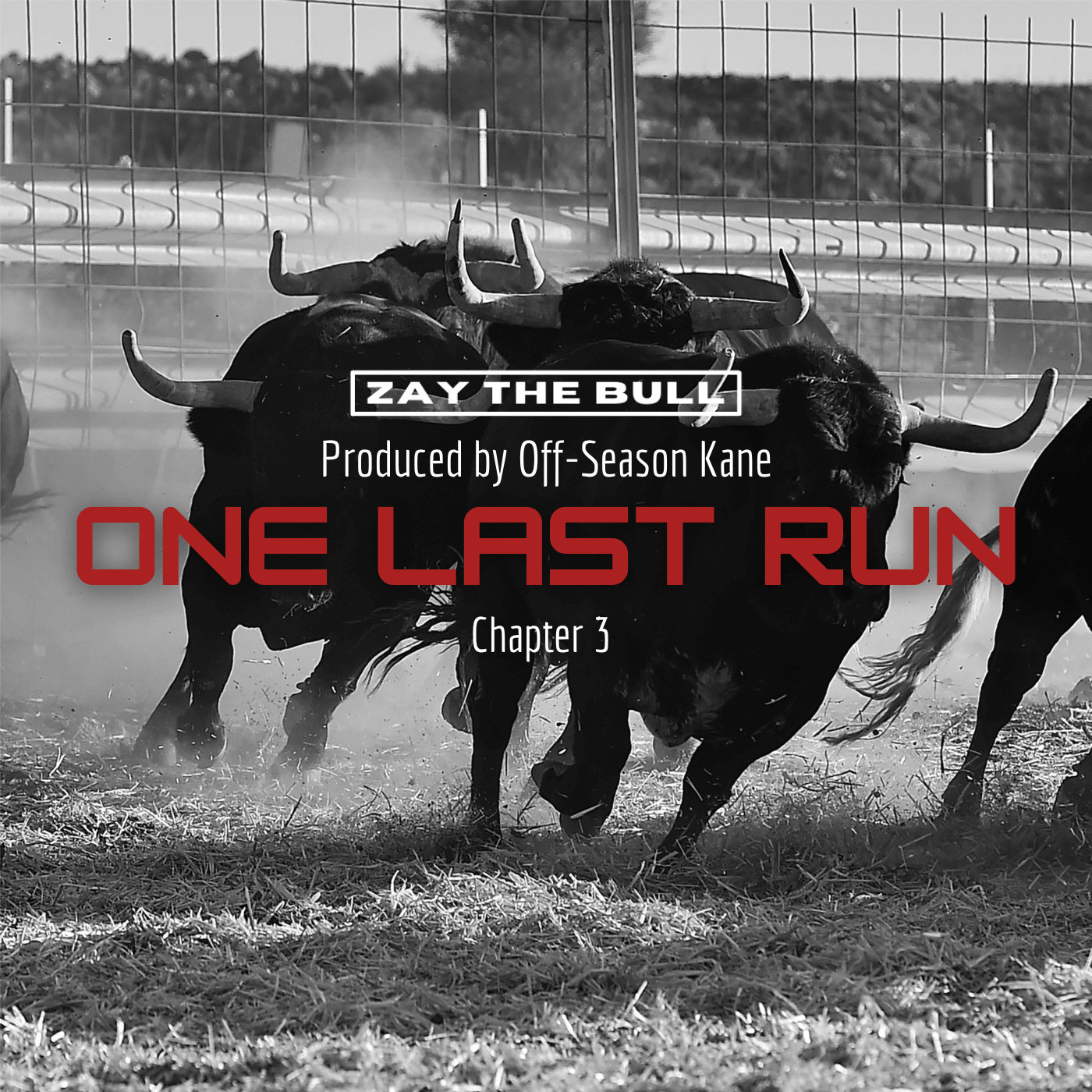 Black bulls charging on a dirt track with a fence in the background, dust rising from their hooves, in black and white.