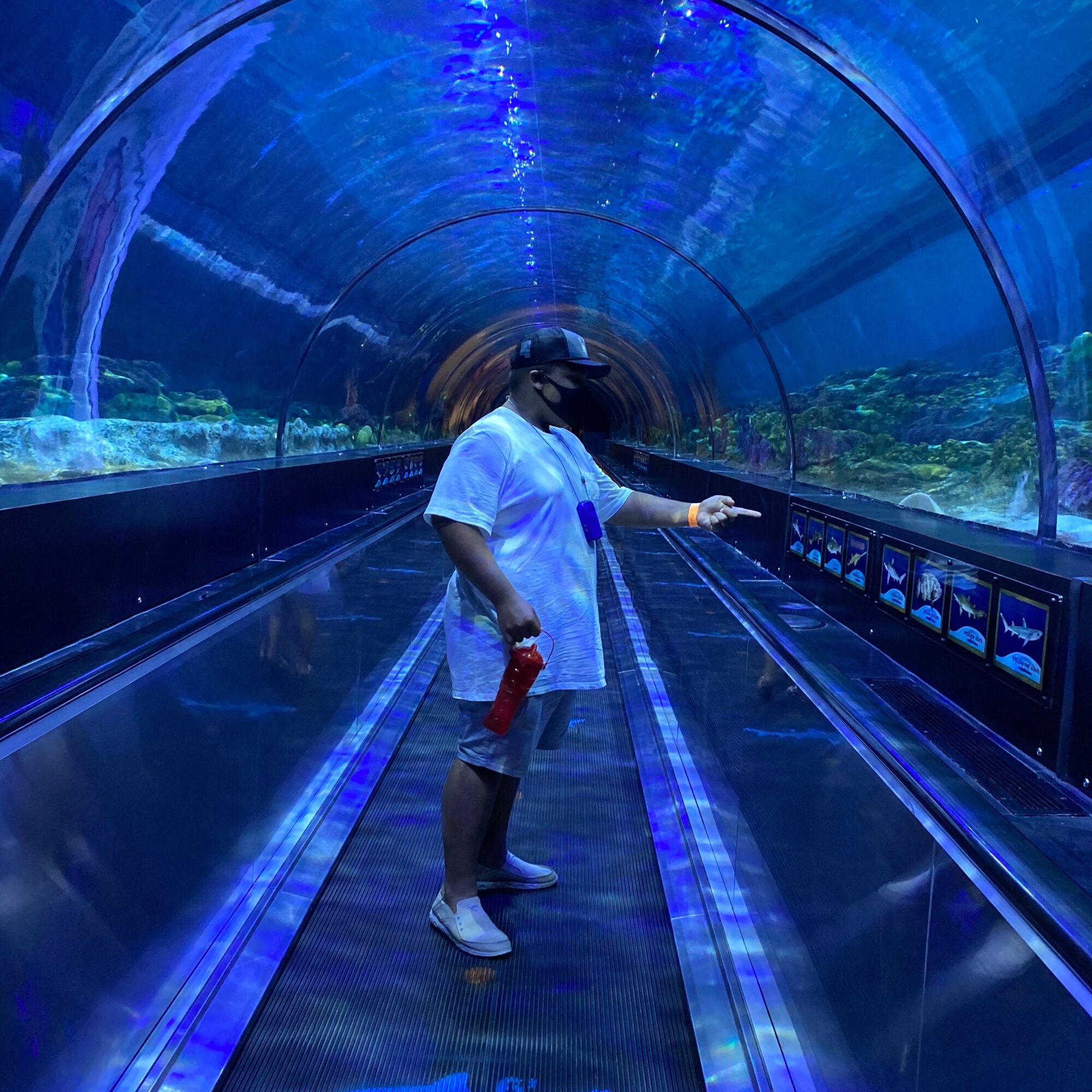 Person standing inside an underwater tunnel with blue lighting, looking at aquatic life, holding a red object.