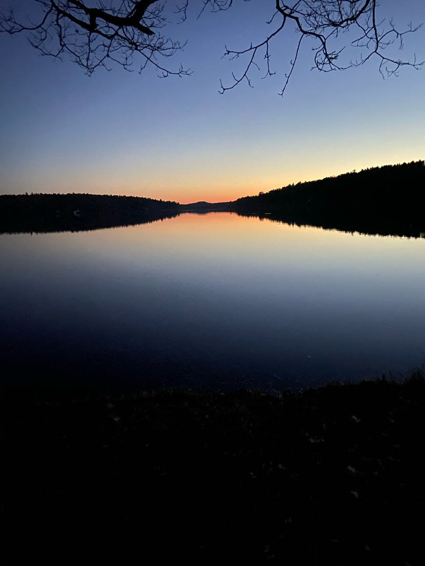 Calm lake reflecting a sunset sky with silhouettes of trees on both sides, branches visible at the top, peaceful scene.