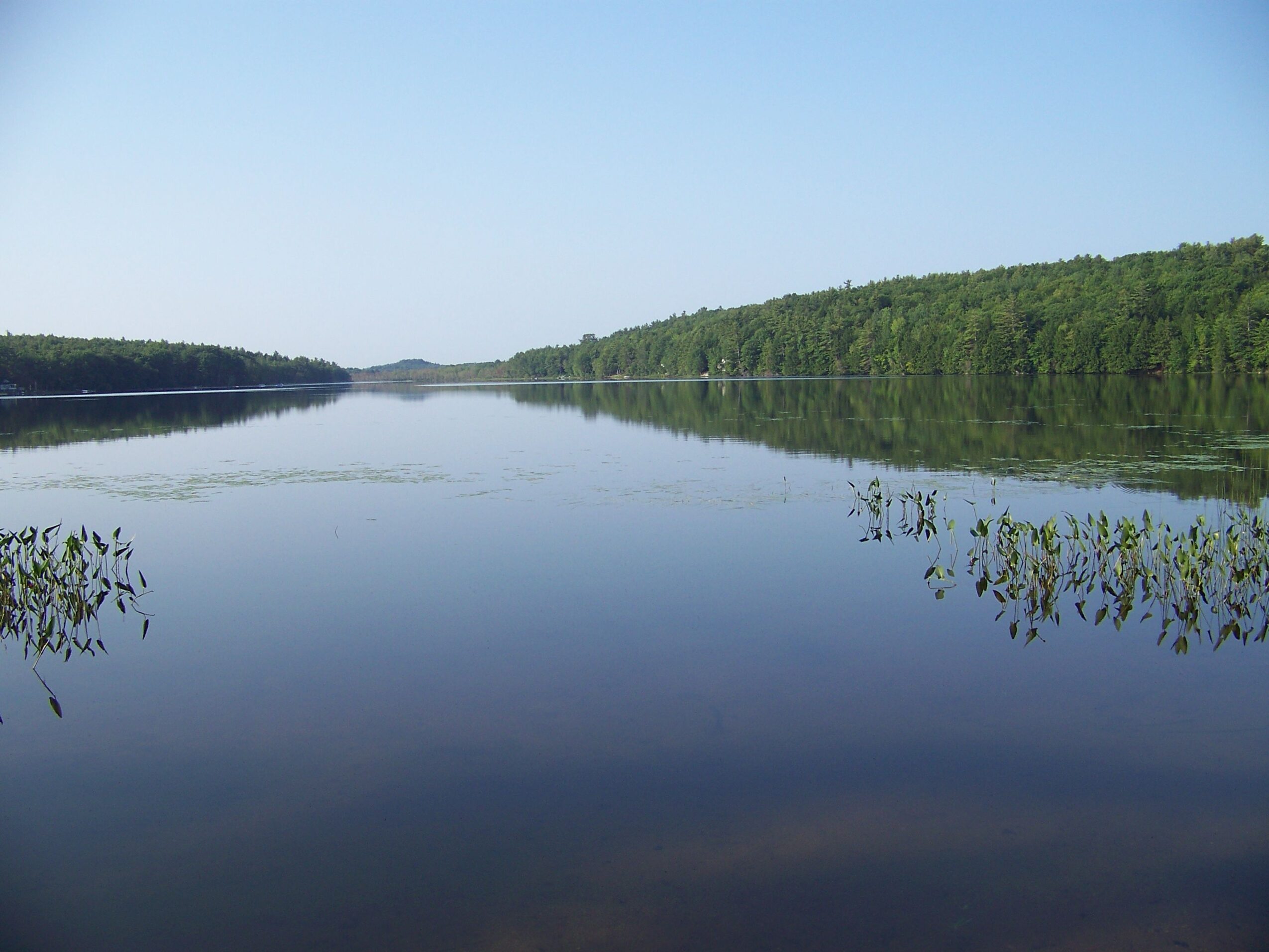 Calm river with green trees on both sides under a clear blue sky.