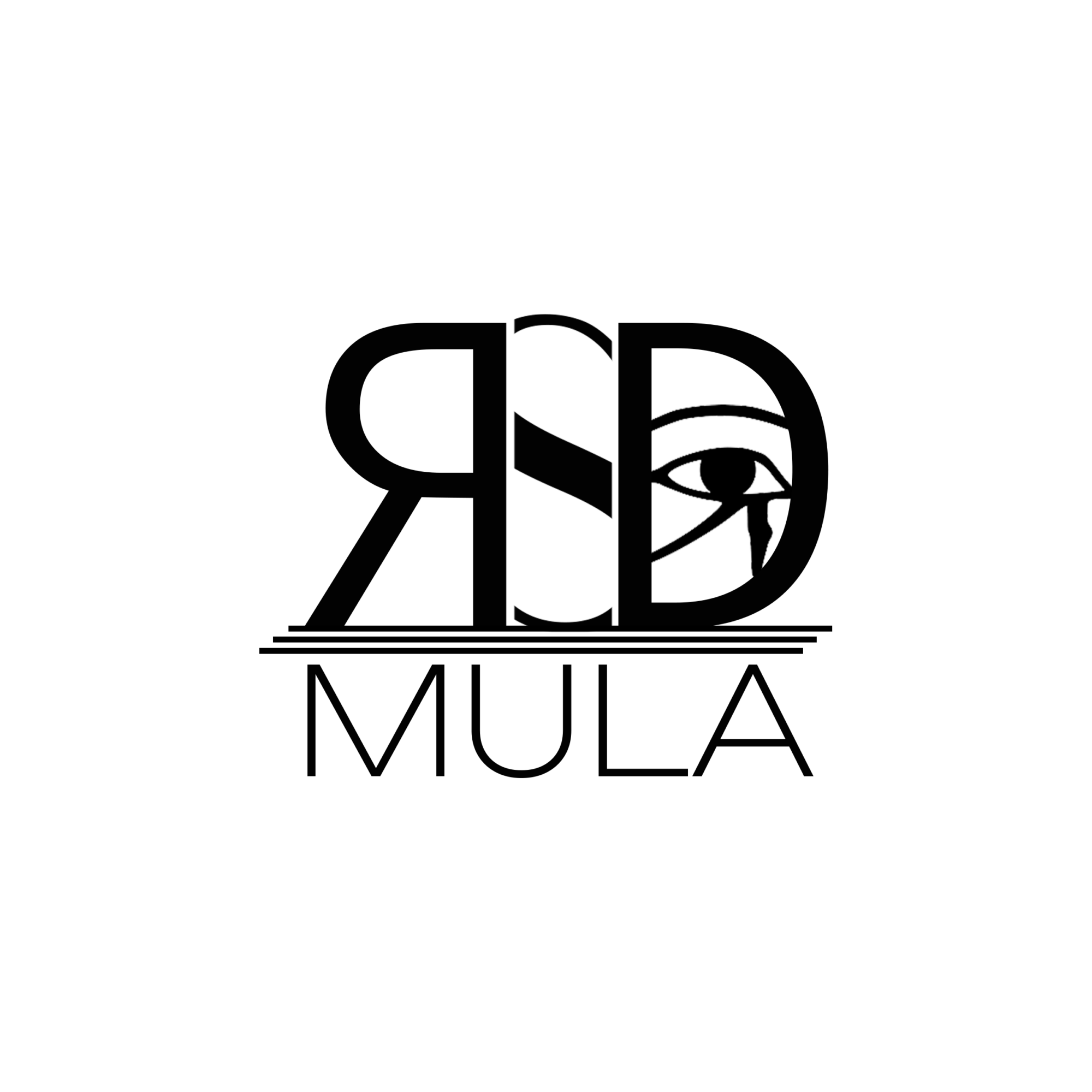 Black logo with stylized eye and text, on a black background, minimal contrast, no visible objects or people.